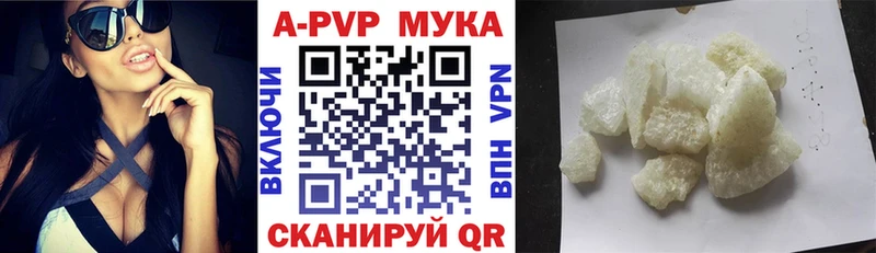A-PVP Судогда