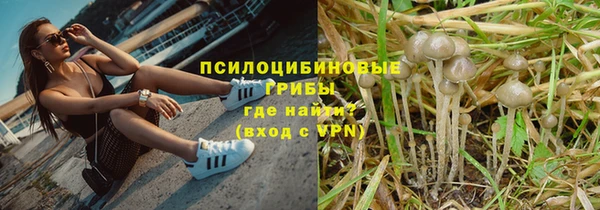 ешки Алексин