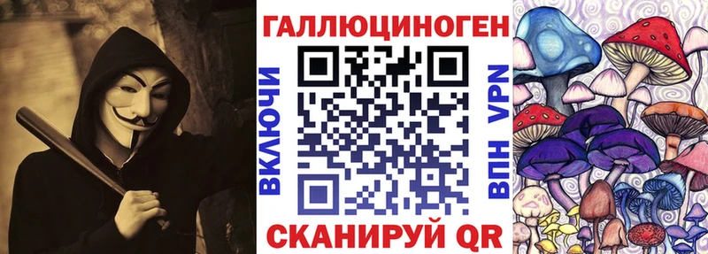 Псилоцибиновые грибы прущие грибы  Судогда 